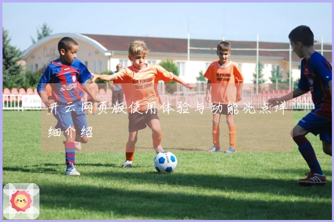 开云网页版使用体验与功能亮点详细介绍