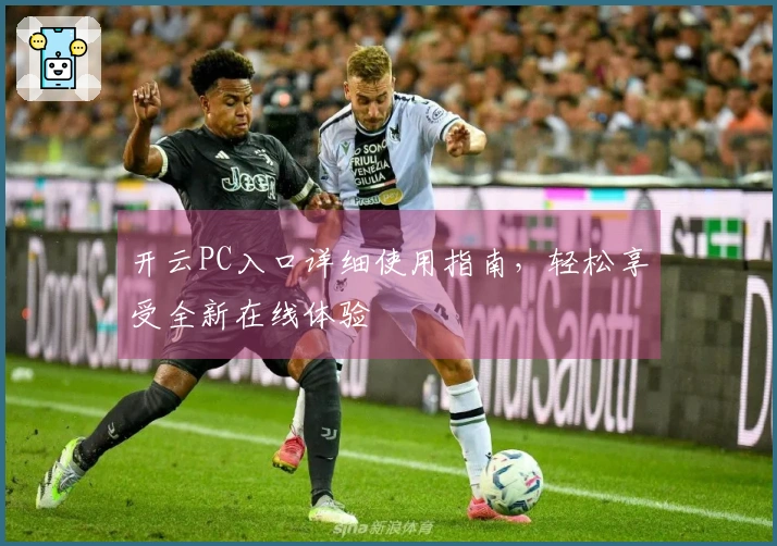 开云PC入口详细使用指南,轻松享受全新在线体验